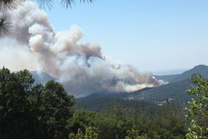 Balıkesir ve Aydın’daki orman yangınları kontrol altında