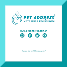 Pet Address Veteriner Kliniği