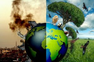 TEMA’dan geçen yıla ‘çevresel’ bakış! 2023’ü öne çıkan iyi ve kötü çevre olayları…