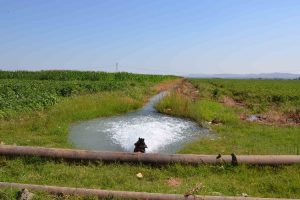 18 bin çiftçiyi ilgilendiriyor! Şanlıurfa ve Mardin’deki tarımsal sulama abonelerine son uyarı!