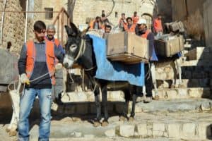 Mardin’in simgesi ‘Çöp Eşeklerin’ görevleri sona eriyor