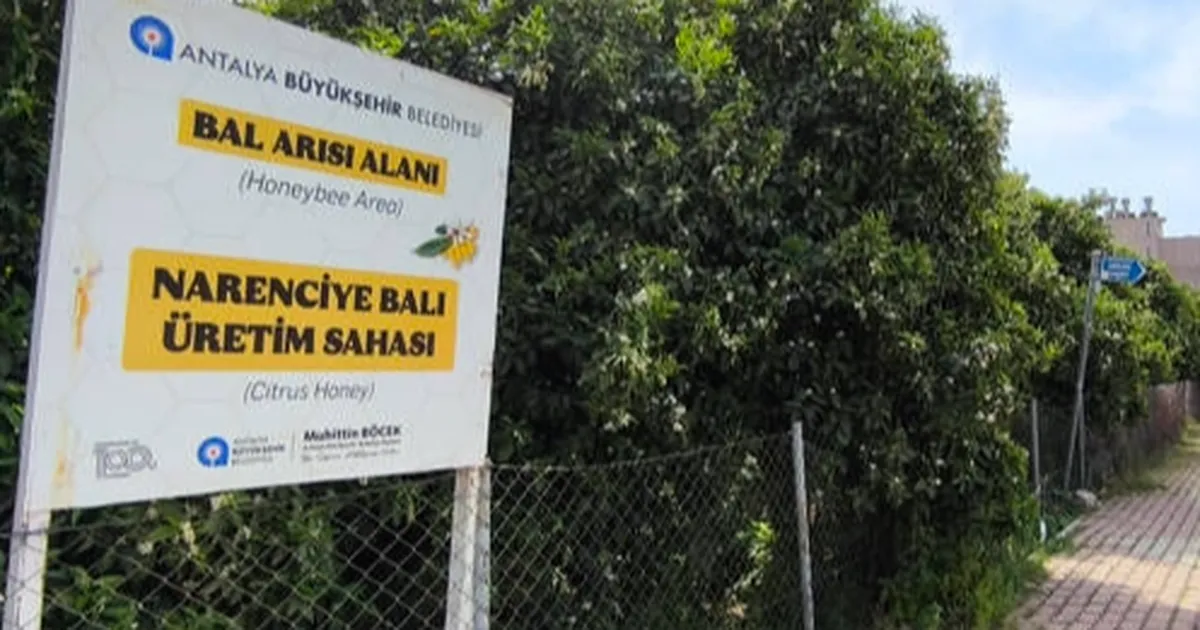 antalyada-narenciye-bali-koruma-altinda-qGydjnYM.webp