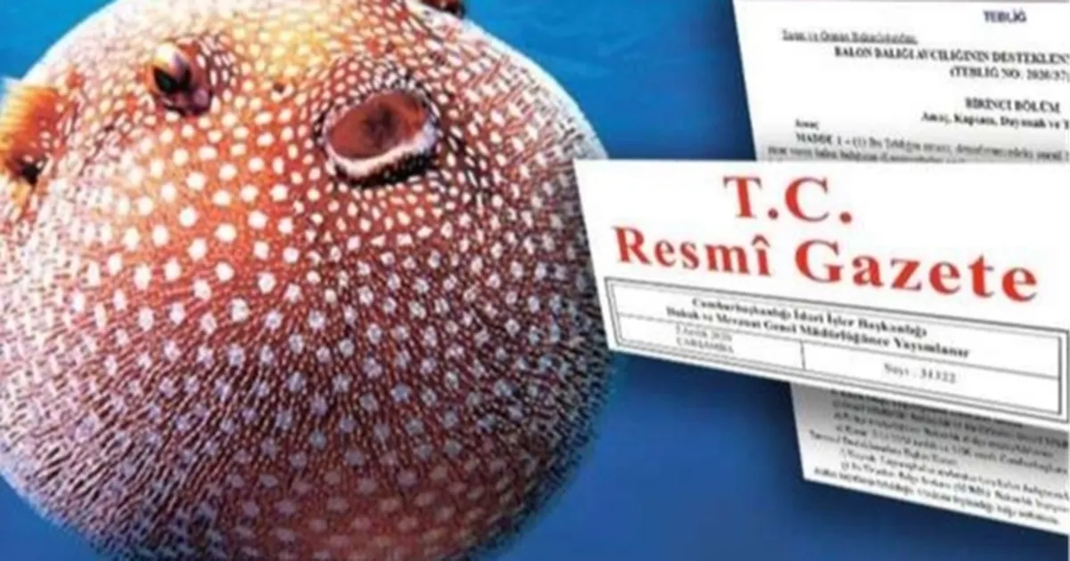 balon-baligi-avciligi-destegi-artirildi-6siNbmdr.webp