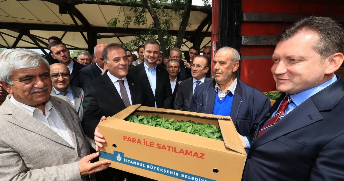 istanbullu-ciftcilere-karsiliksiz-destekler-suruyor-bsL5P7Sf.webp