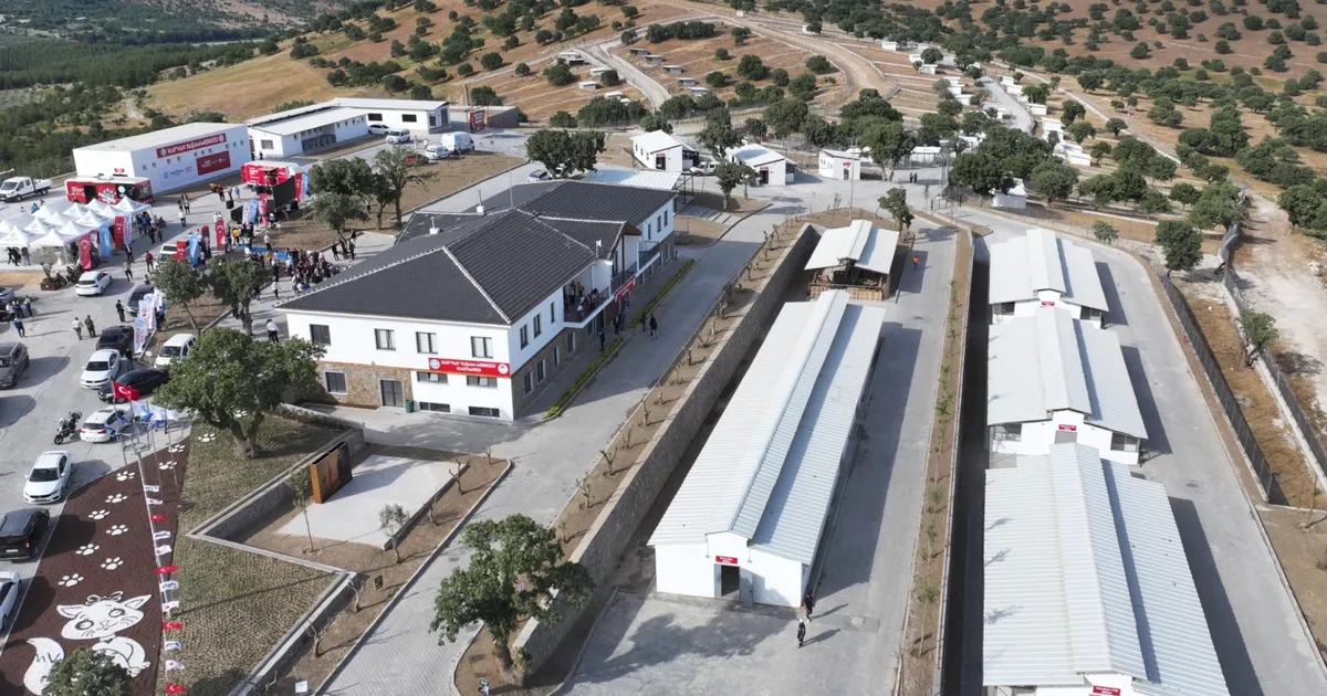 manisada-sokak-hayvanlari-icin-hayvan-yasam-merkezi-hizmete-acildi-jchMvgMP.webp