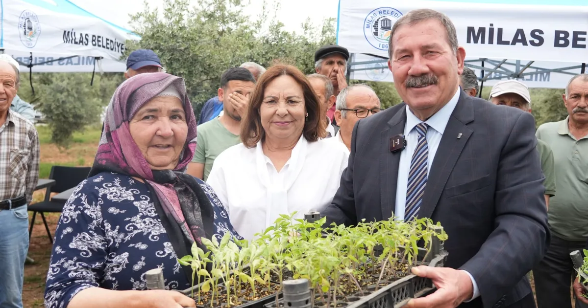 mugla-milasta-300-ureticiye-dagitim-gerceklestirildi-lbVUUhZu.webp