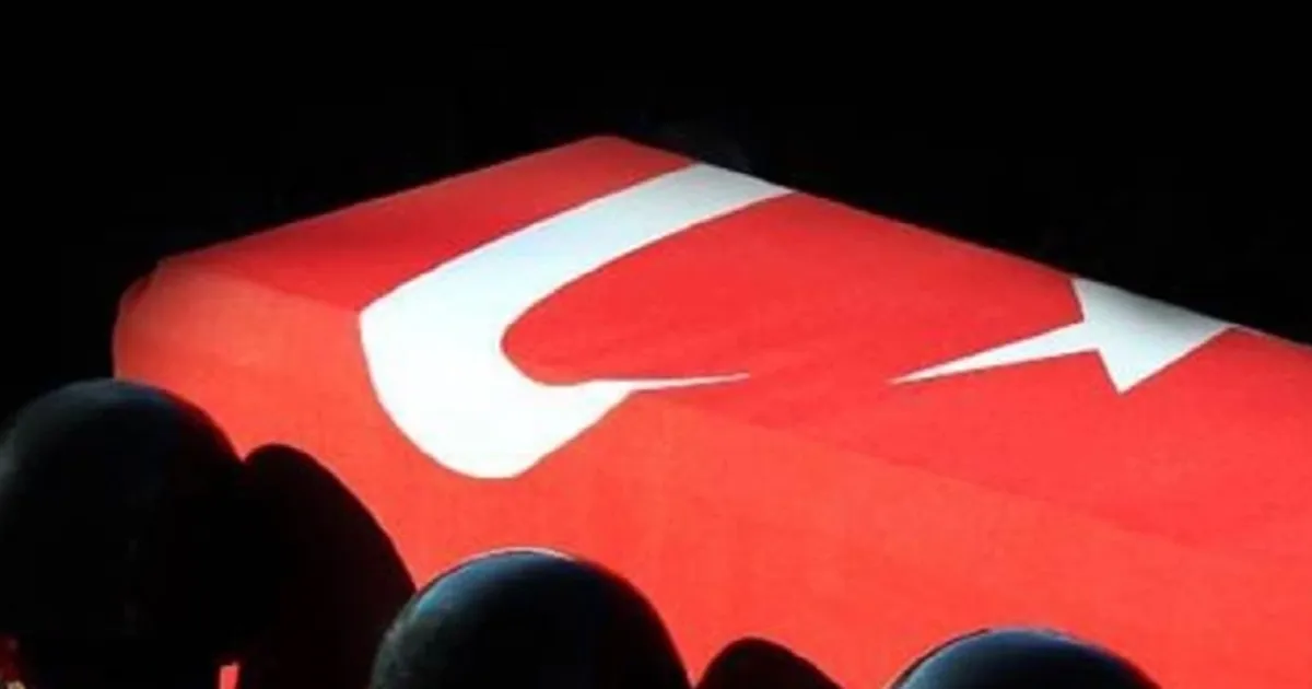pence-kilite-yildirim-dustu-1-askerimiz-sehit-EMB71P3A.webp