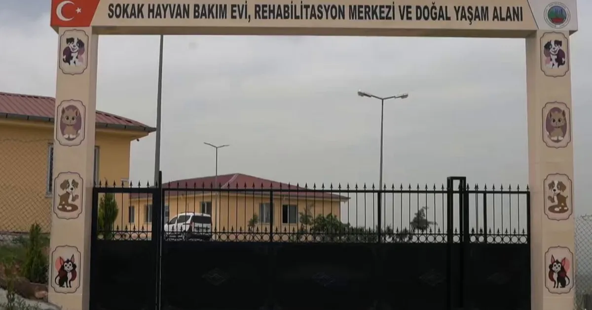 siirtte-sokak-hayvanlari-icin-dev-proje-RNaezKlD.webp