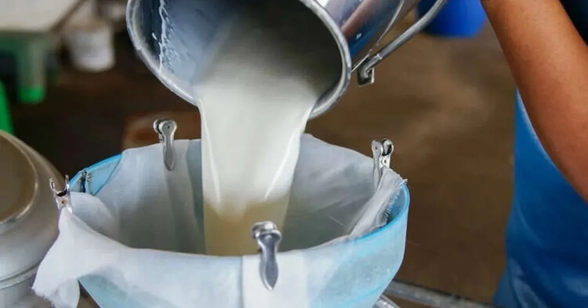 turkiyede-sut-uretimi-yukseliyor-martta-1-milyon-15-bin-ton-sut-toplandi-jUXkHy6D.webp