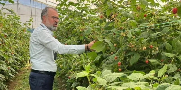 Bursa Kestel ve Gürsu’dan Sırbistan’a tarım çıkarması
