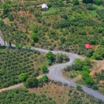 Ordu’dan Samsun’a bağlantı sağlayan yolda son adım